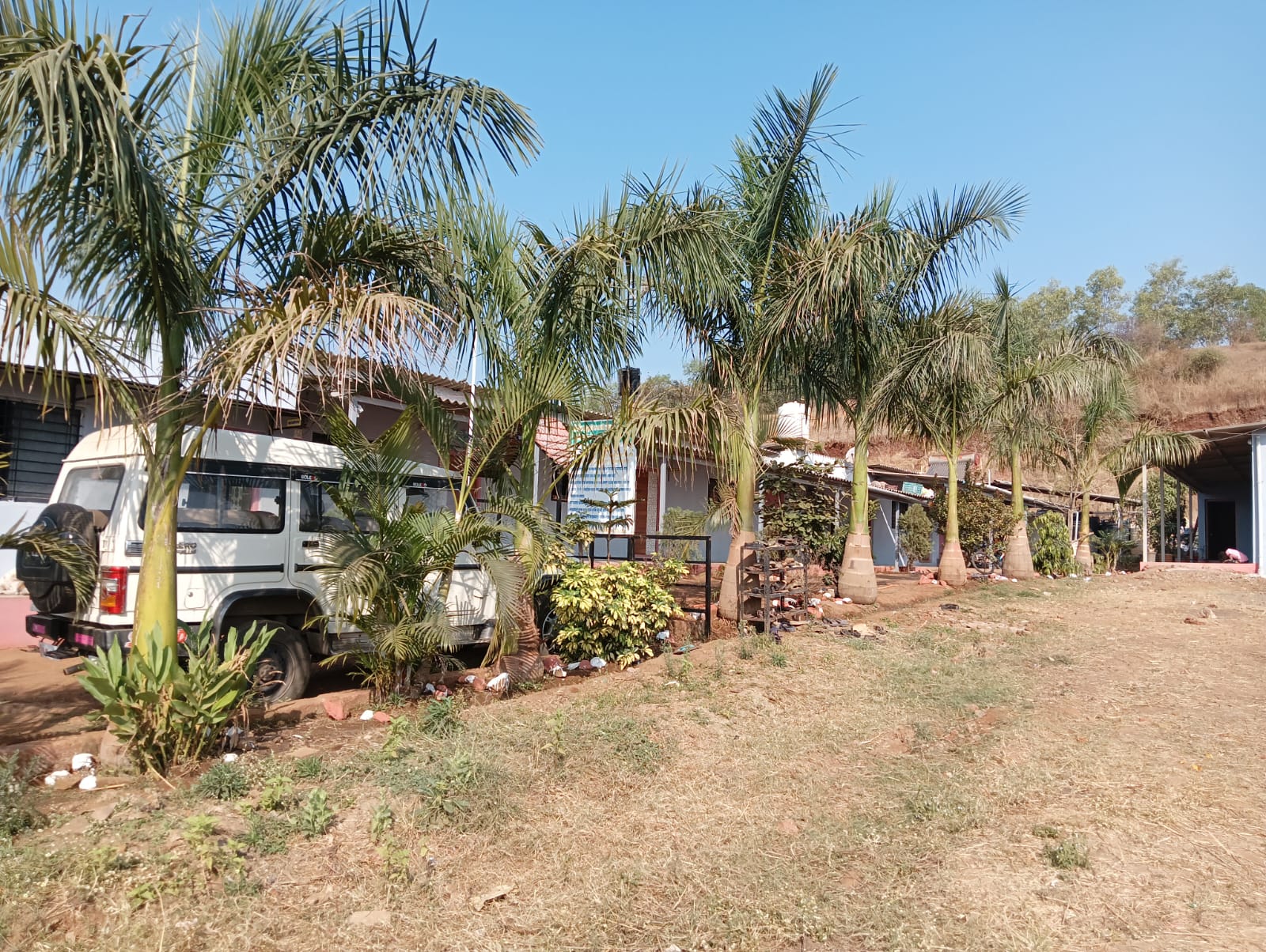 WhatsApp Image 2025-04-05 at 6.05.58 PM (1)