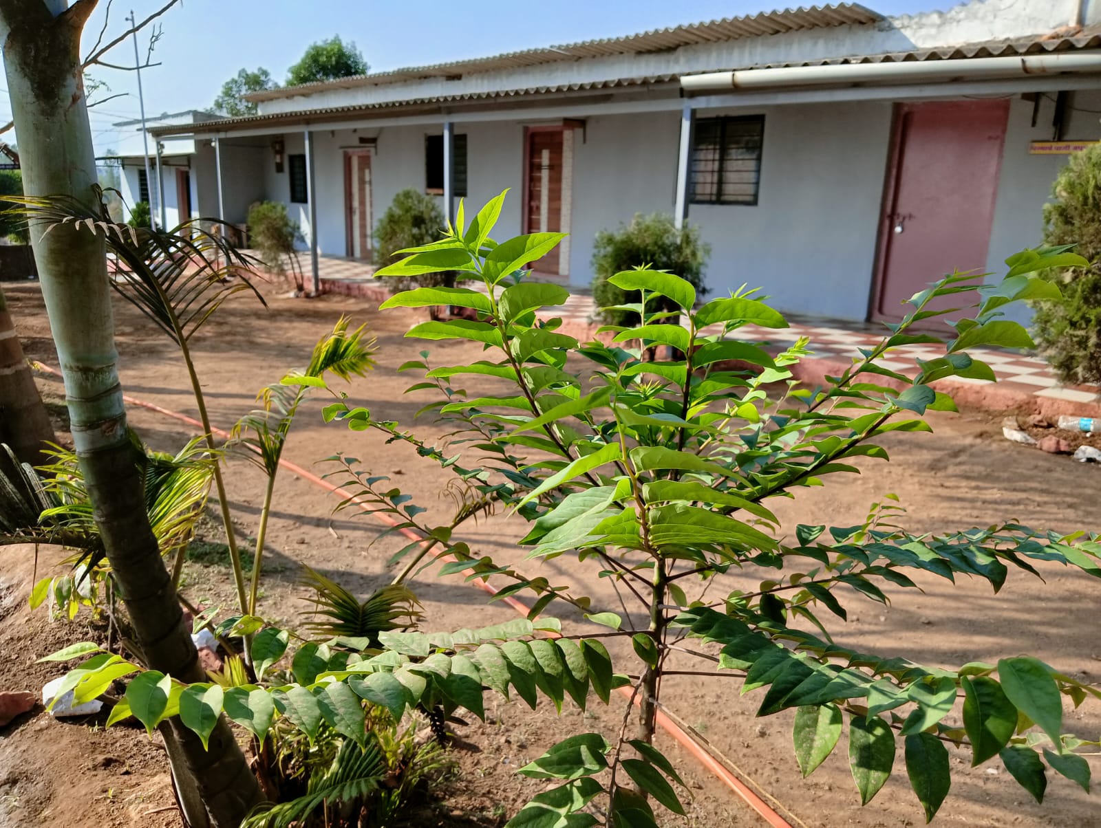 WhatsApp Image 2025-04-05 at 6.05.58 PM (3)